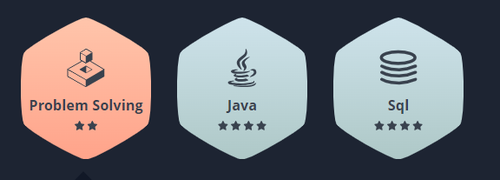hackerrankBadges.png