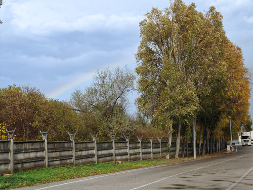 IMG 20231031 120646.jpg