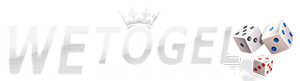 wetogel logo.png