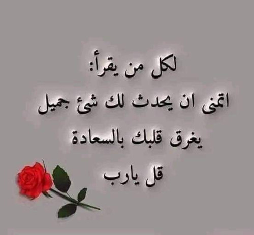 FB IMG 1698534704165.jpg