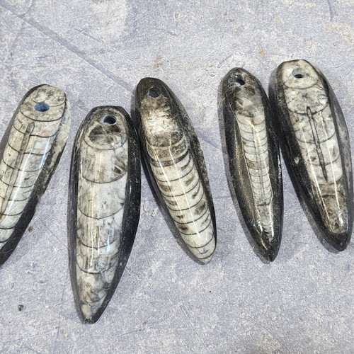 cropped 1698536805765847529694874356917.jpg