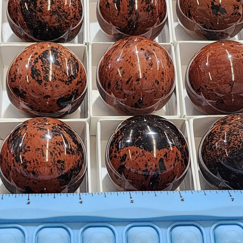 cropped 16985404404428456093635646369735.jpg