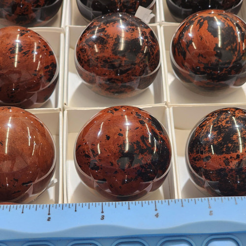 cropped 16985405009292239905343039218651.jpg