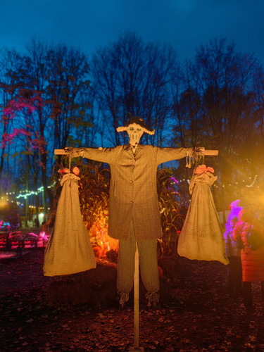 IMG 20231028 181619.jpg