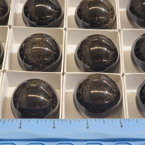 cropped 16985402829808793608839081699241.jpg