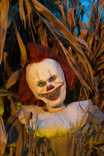 IMG 20231028 WA0025.jpg