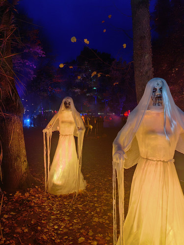 IMG 20231028 182300.jpg