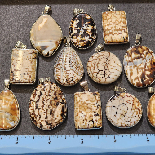 cropped 16985387884343140481187015173059.jpg