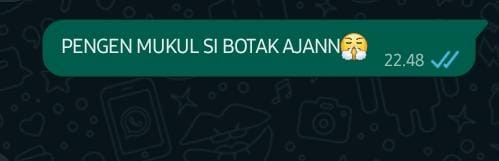 undefined.jpg