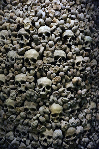 123280107 human bones and skulls as pirate wall background.jpg