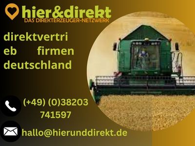 Die besten Direktvertriebsunternehmen in Deutschland kennenlernen.jpg