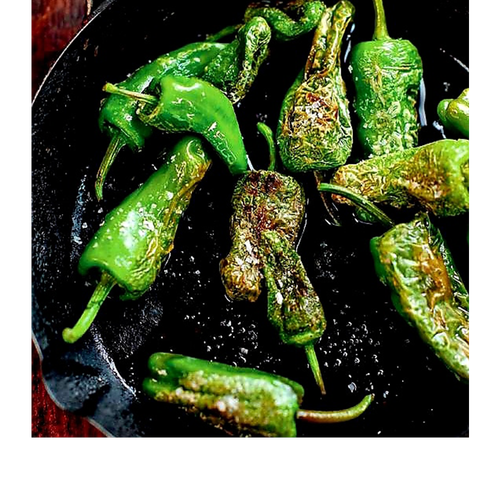 Padron webshop.png