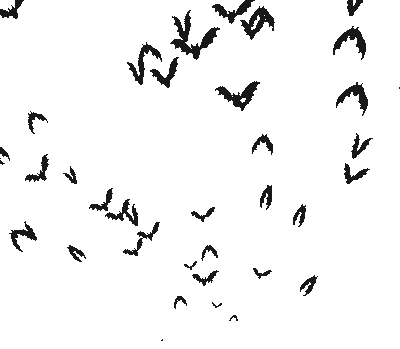 picmix.com 1045970.gif