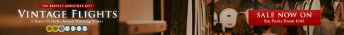 Vintage Flight Website Banner.png