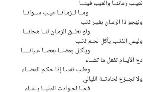 IMG ٢٠٢٣١٠٢٩ ١٣٤٥٠٩.jpg