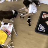 剧情足，场面大，年度大片！.gif