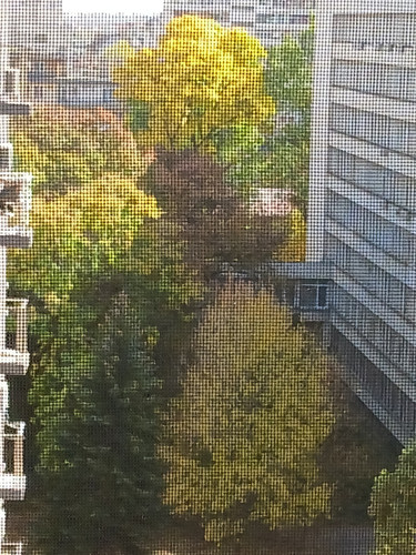 20231022 131630[1].jpg