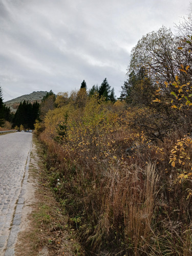 20231028 164618[1].jpg