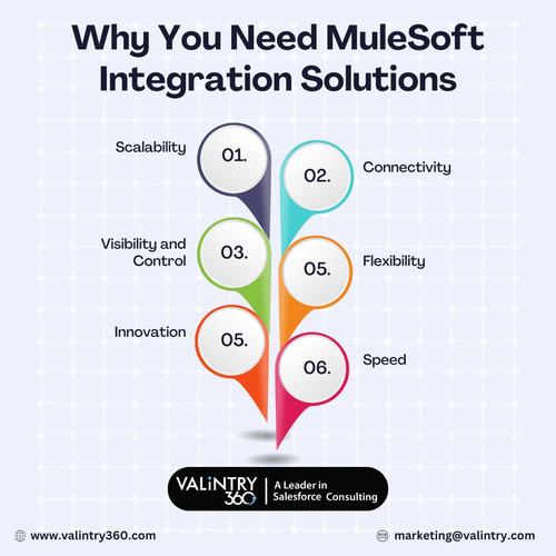 Why You Need MuleSoft Integration Solutions.jpg