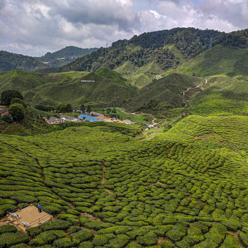 malaysia.jpg