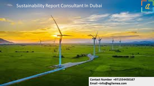 Sustainability Report Consultant In Dubai 1.jpg