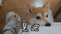 EHZEUG}$0JM5]KQD7]STJ`2.gif