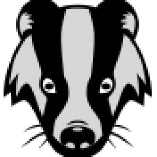 cropped badgers icon.png