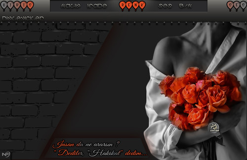 Lady Nur İnsanda ne ararsınN.jpg