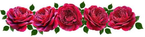 H kKtDVeWmmXv HdreOShtS9ue0.png