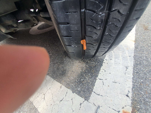 file.jpg