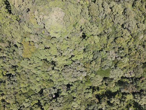 DJI 0158.jpg
