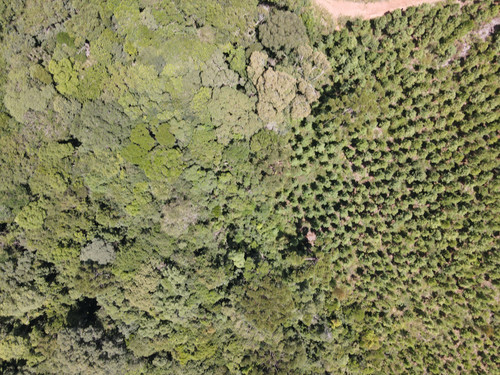 DJI 0128.jpg
