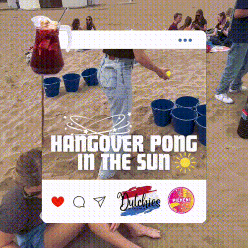 Hangover pong.gif