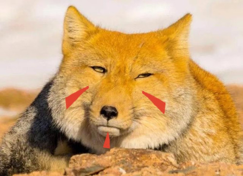 27611714480235 .pic.jpg