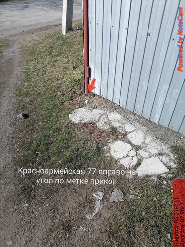 IMG 20240430 193916.jpg