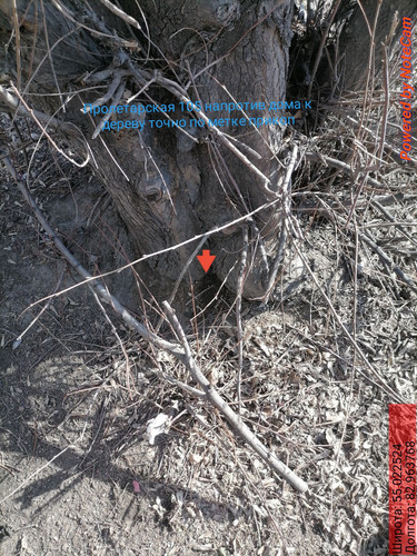 IMG 20240430 193605.jpg
