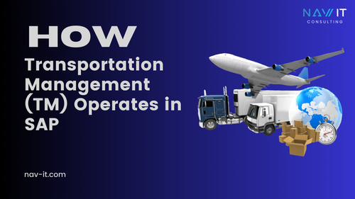 Transportation Management.png