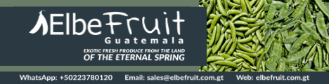 ElbeFruit GIF 2024.gif