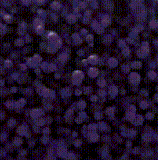 BMF animation.gif