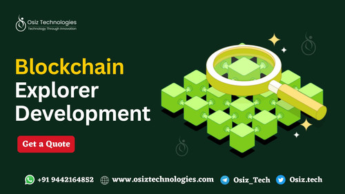 Blockchain Explorer Development.jpg