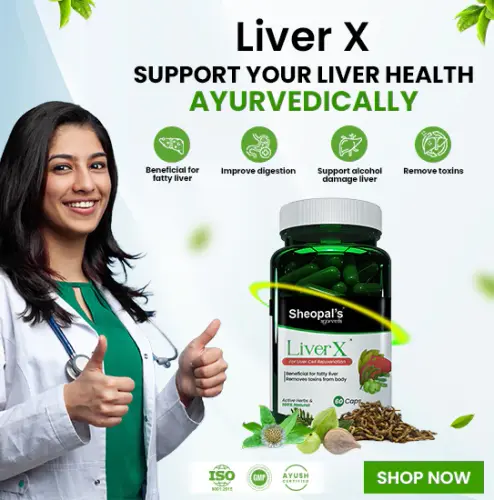 Benefits Of Sheopal’s Liver X Capsule.webp