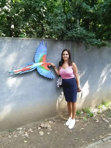226 1000.webp