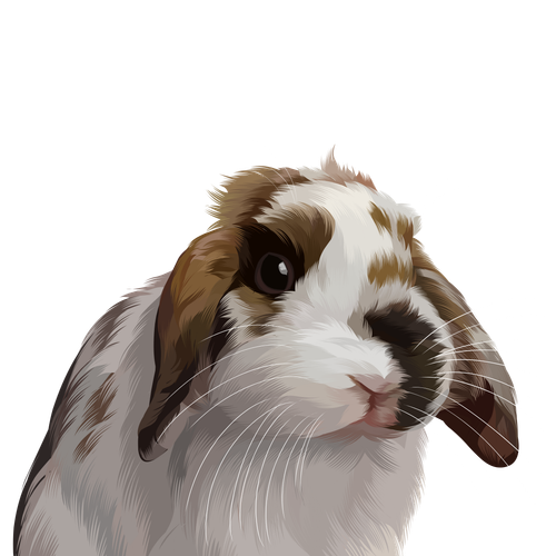 IMG 0356.png