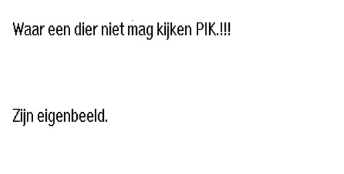 GeheimpjeDier.jpg