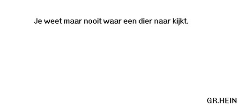 Dier Kijiken.jpg