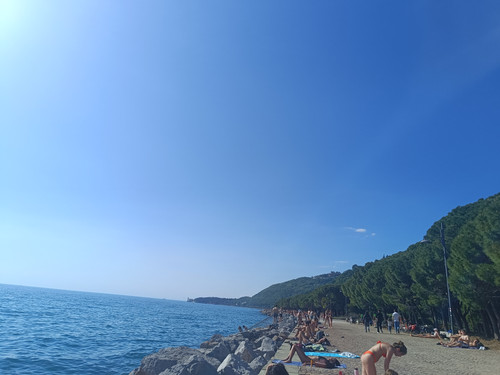 IMG 20240430 163141.jpg