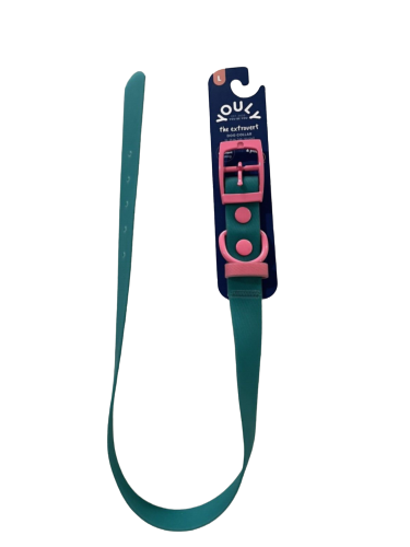 YOULY Water Resistant Teal Pink Dog Collar LARGE rubber 18 21 LARGE removebg preview.webp
