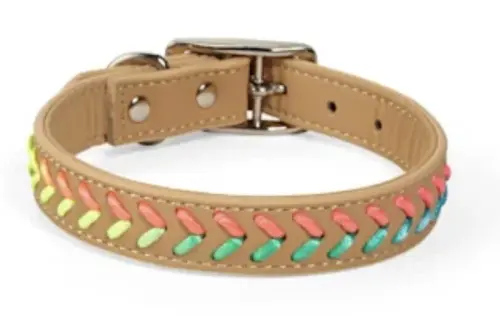 YOULY the Extrovert Tan Rainbow Braided Dog Collar M.webp