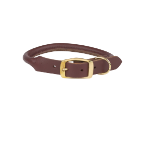 blog img2 removebg preview.png