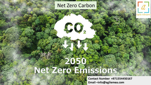 nz carbon 30.4.24.jpg